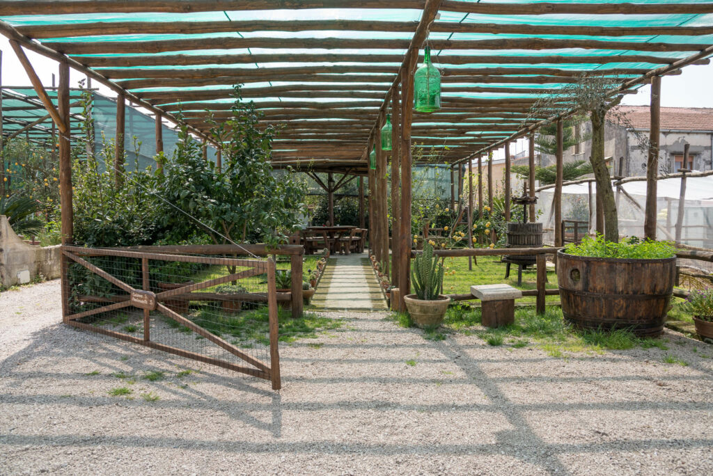 La Casa nel Giardino - Piano di Sorrento - Bed and breakfast - Orto - Vegetable Garden